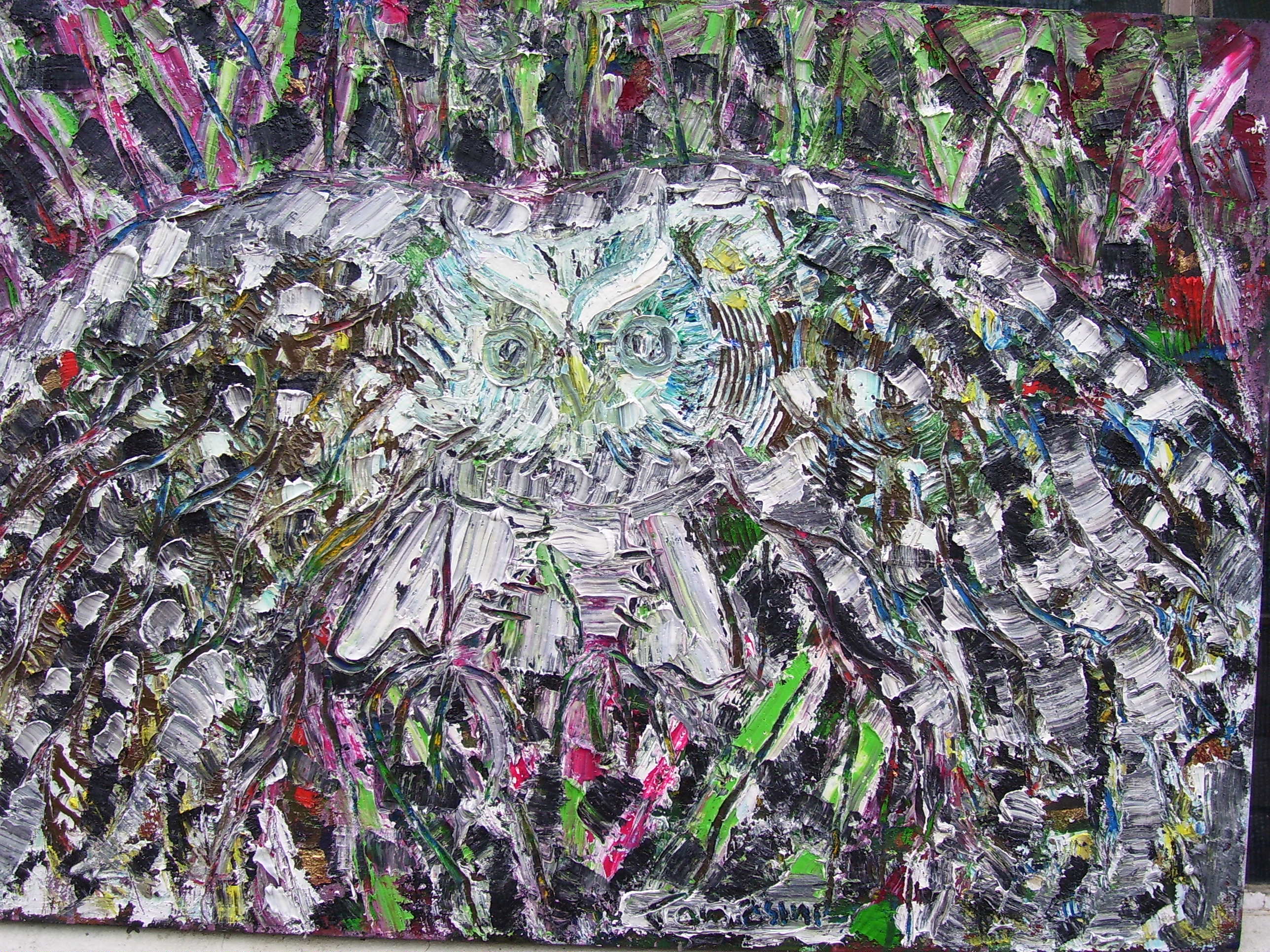 Daniel Tomasini exposición realizada en espacio de arte La Colmena 