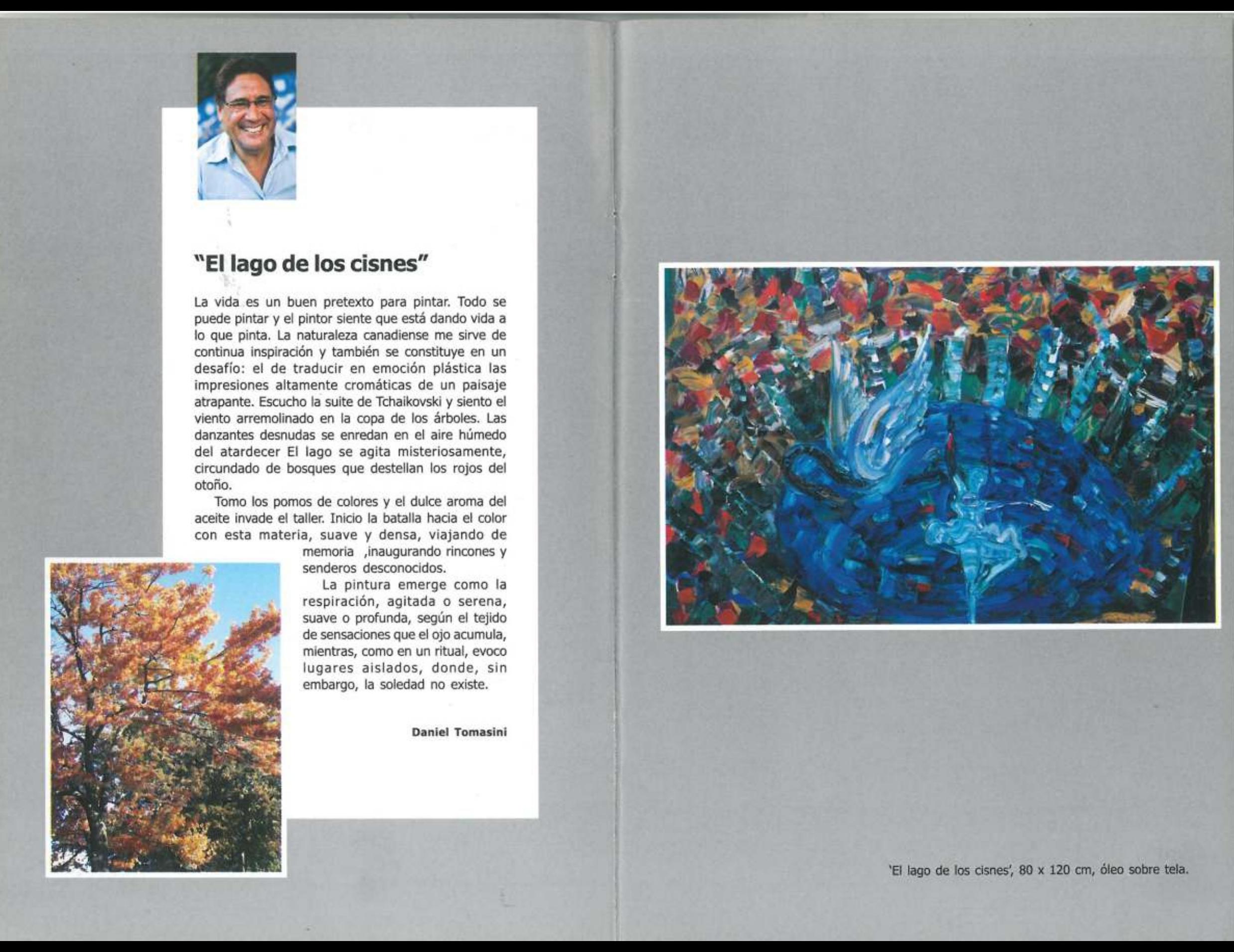 Daniel Tomasini exposición Lago de los Cisnes