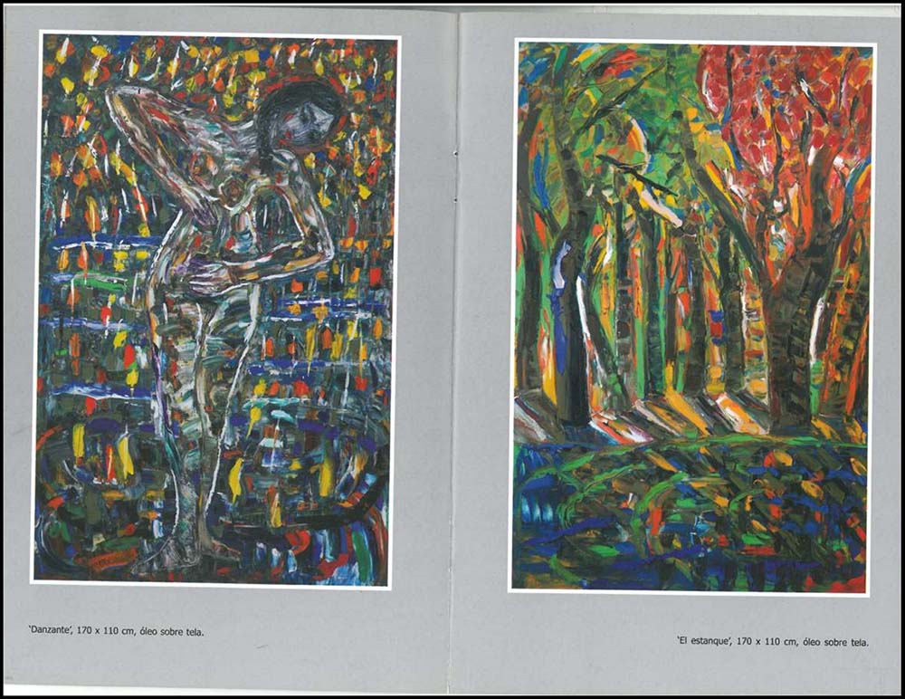 Daniel Tomasini exposición Lago de los Cisnes