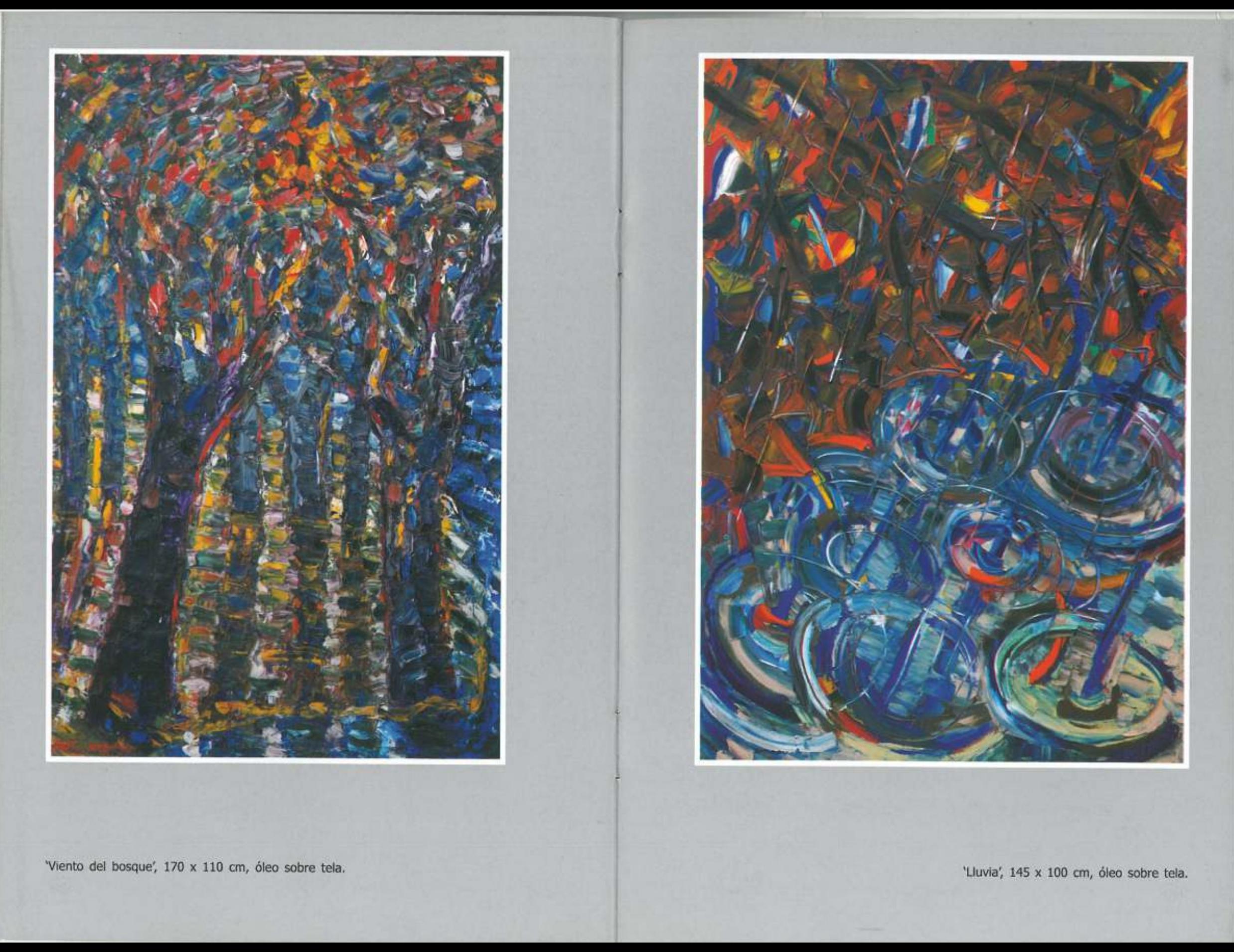 Daniel Tomasini exposición Lago de los Cisnes