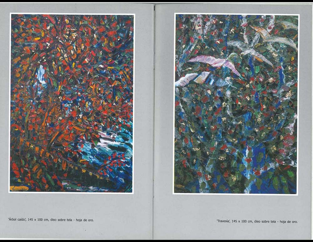 Daniel Tomasini exposición Lago de los Cisnes