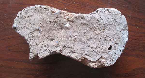 Daniel tomasini diseño de azulejos y ladrillos