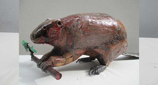 Daniel Tomasini exposición patrocinada por la Francofonía en Unitec-Rocha Planeta en alerta 