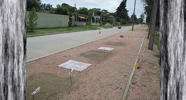 Daniel Tomasini extensión universitaria  paneles mosaicos de piso Monte de la Francesa