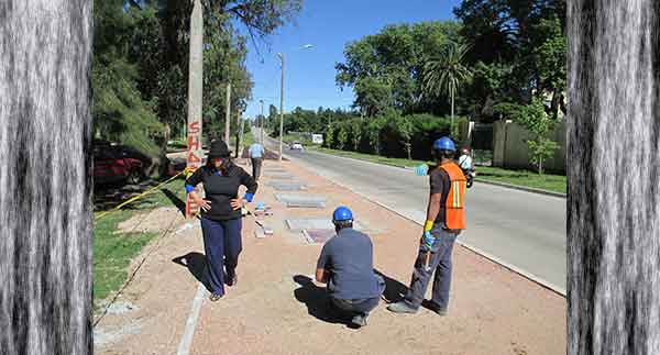 Daniel Tomasini extensión universitaria  paneles mosaicos de piso Monte de la Francesa