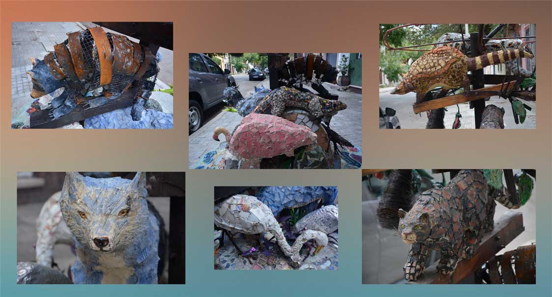 Daniel Tomasini instalación Proyecto planeta en alerta