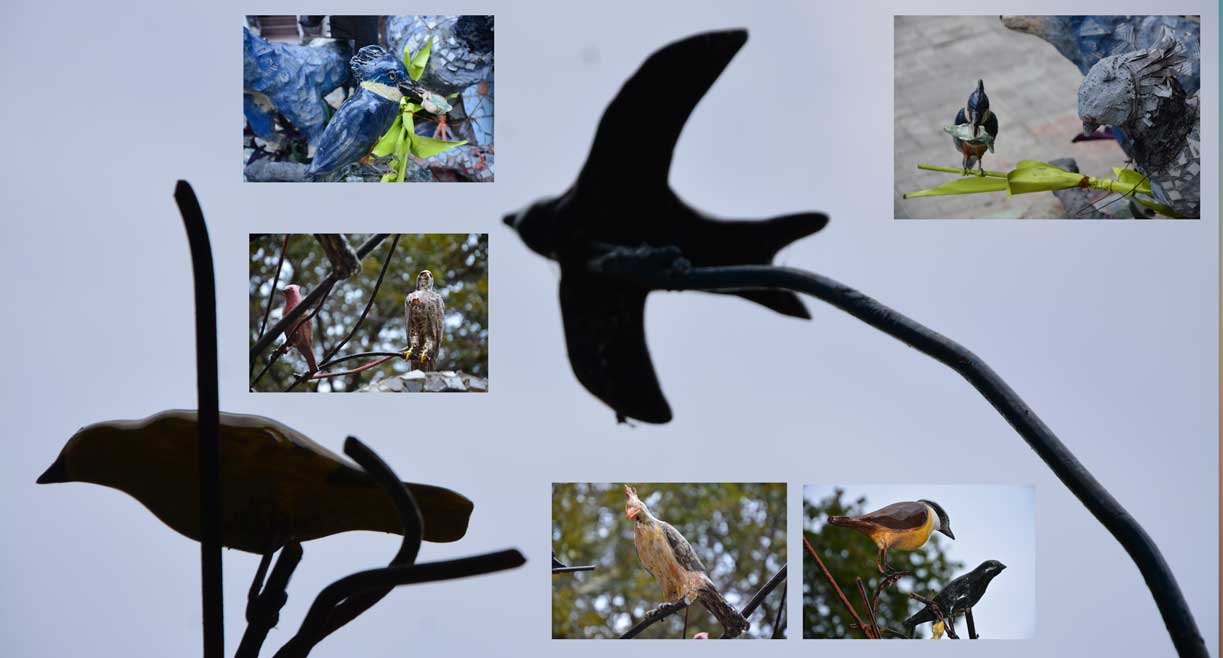 Daniel Tomasini instalación Proyecto planeta en alerta